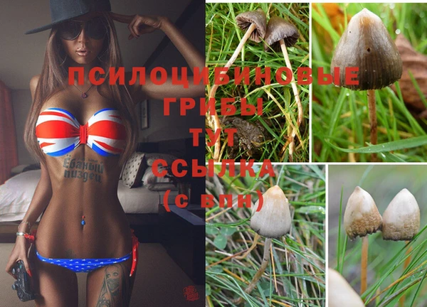 героин Магас